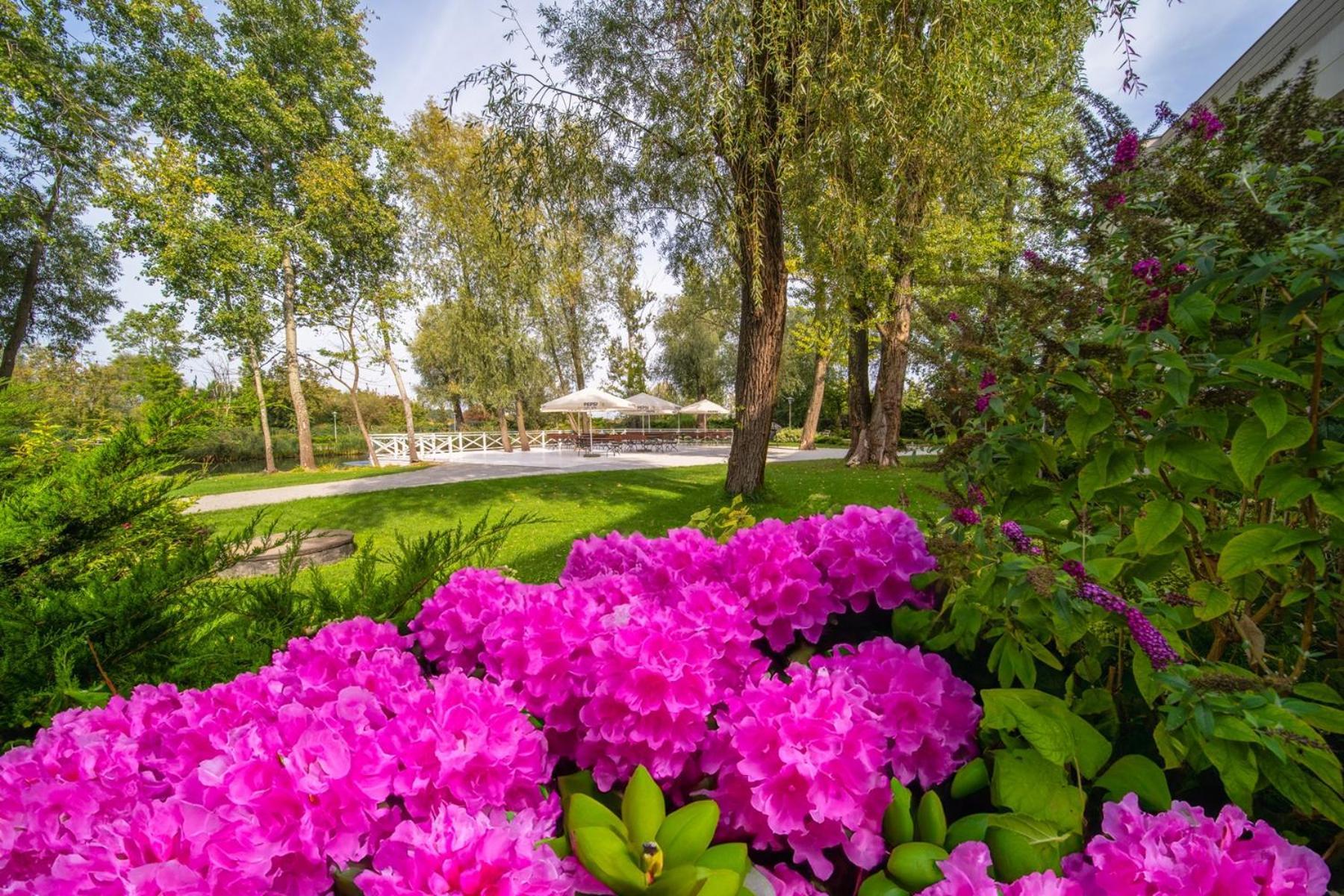 Green Garden Hotel Рашин Екстер'єр фото